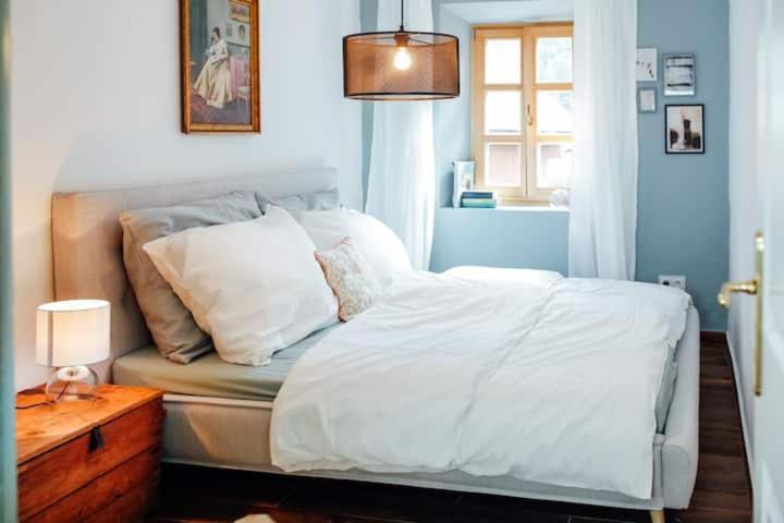 Apartment Aussee- Beletage Salzherrenhof- Kueche, Wlan, Netflix Bad Aussee Esterno foto